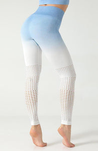 Ombre Hollow Legging - mayzia