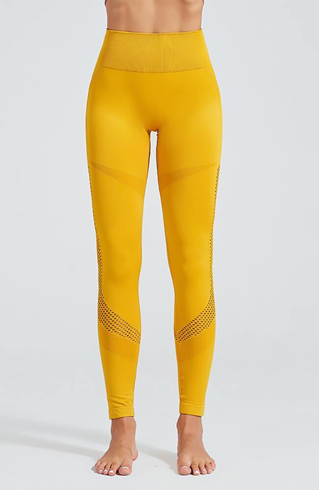 The Laser Seamless Legging - mayzia