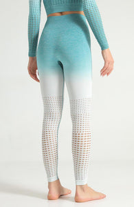 Ombre Hollow Legging - mayzia