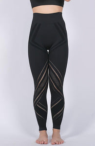 Energy Seamless Legging - mayzia